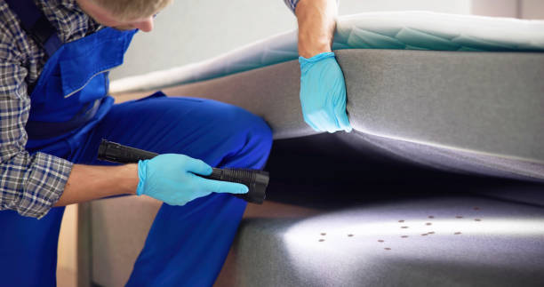 Best Flea Control Services  in Litchfield Beach, SC