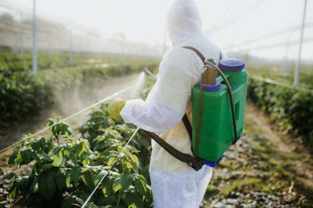 Professional Pest Control in Litchfield Beach, SC